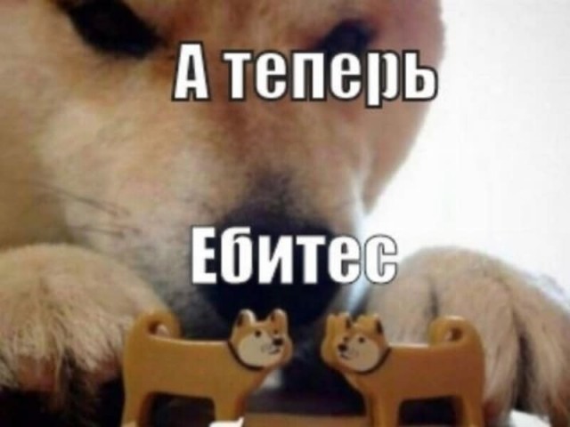 В России появился «демографический спецназ»