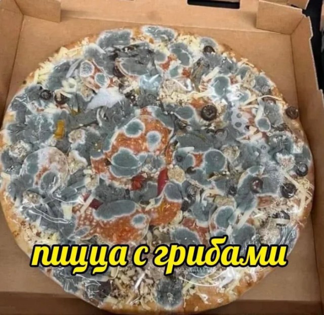 Внезапная соточка дичи