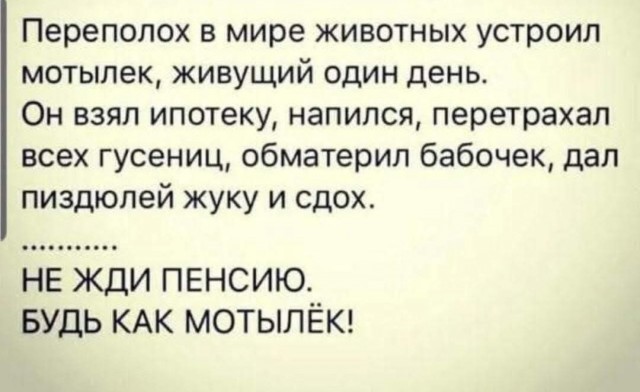 Маленькая пятница 6.08.25