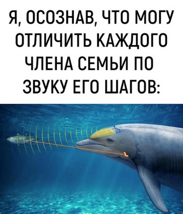 Картинки для деградации 25 (разной степени свежести)