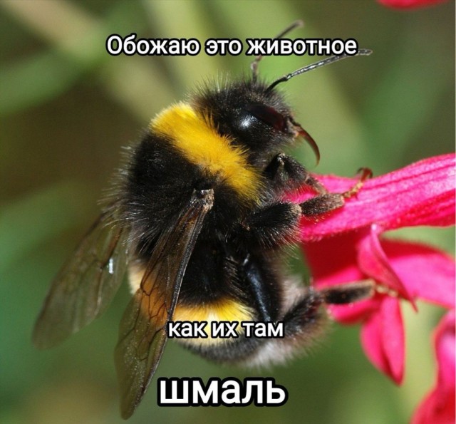 Прикольные и просто красивые картинки 26.09.2025