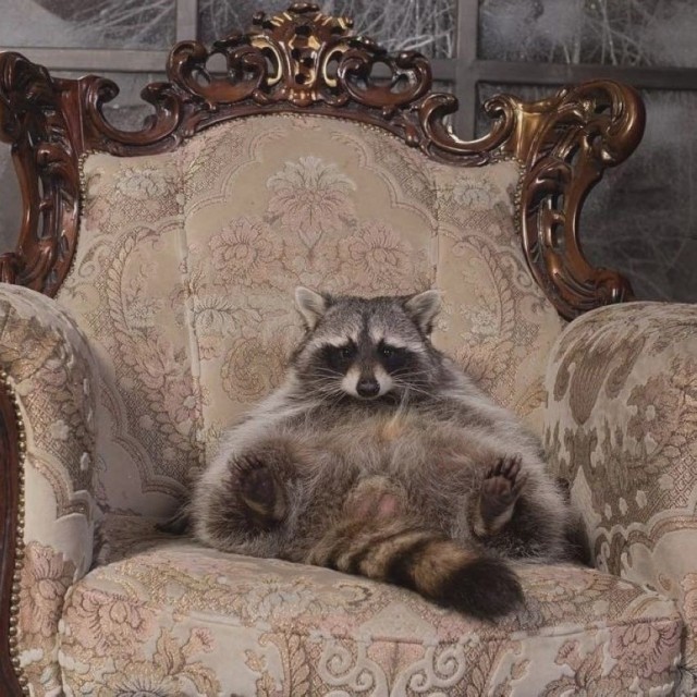 Фото ассортинки