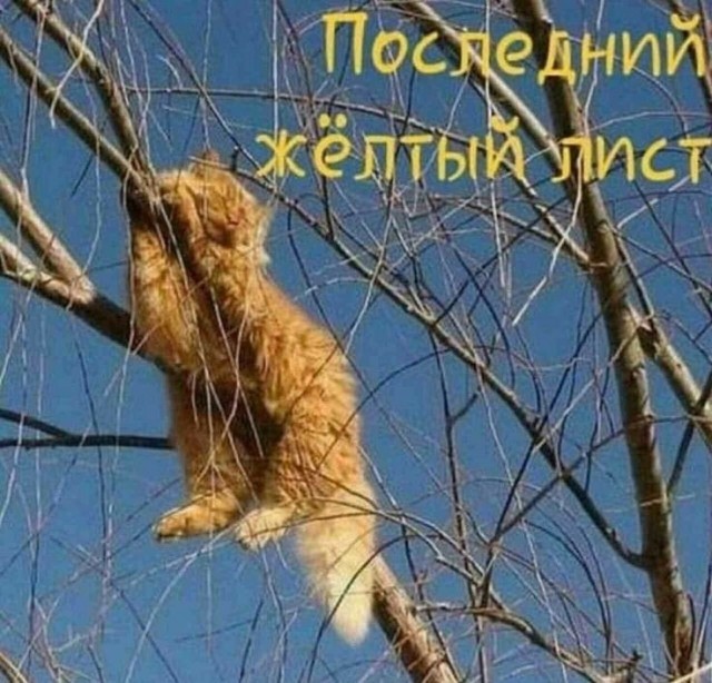 Вторник. Немного картинок