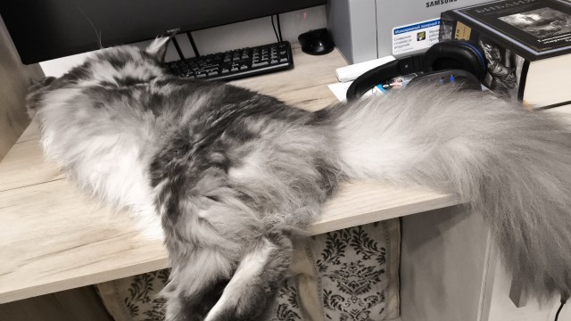 Тихон