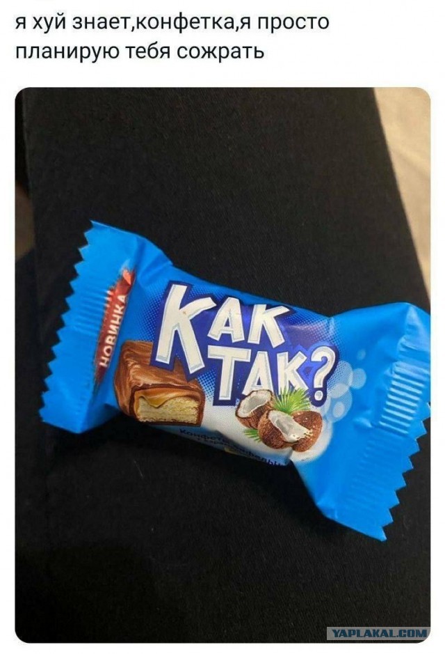 Картиночки, баянчики 08 декабря