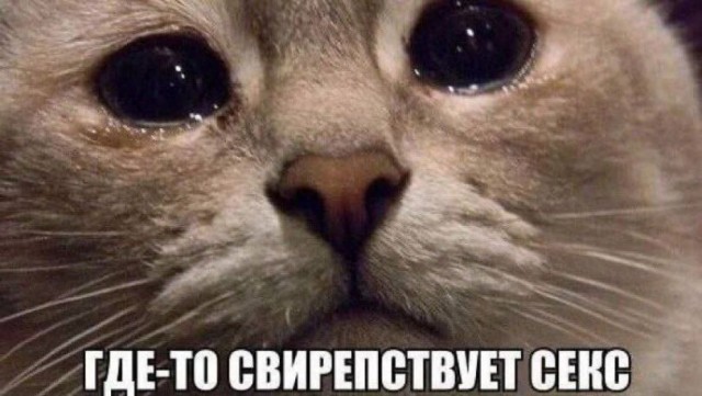 Пройдусь по абрикосовой, сверну не деградантную