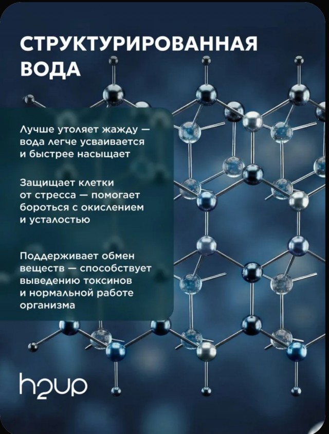 Лох не мамонт