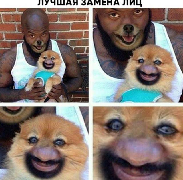 Картинки для деградации 145 (разной степени свежести)