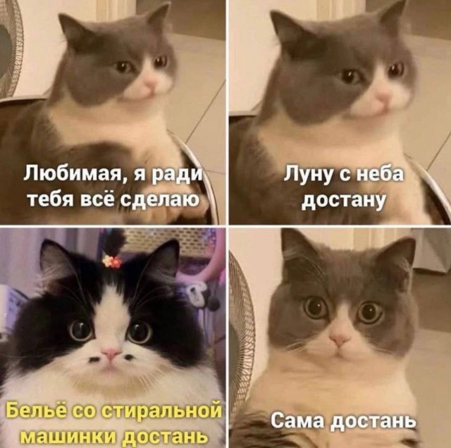 Картинки для деградации 153 (разной степени свежести)