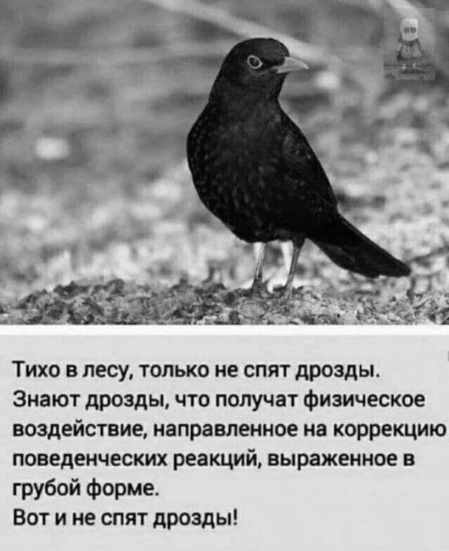 «А что ты сделал для победы?»