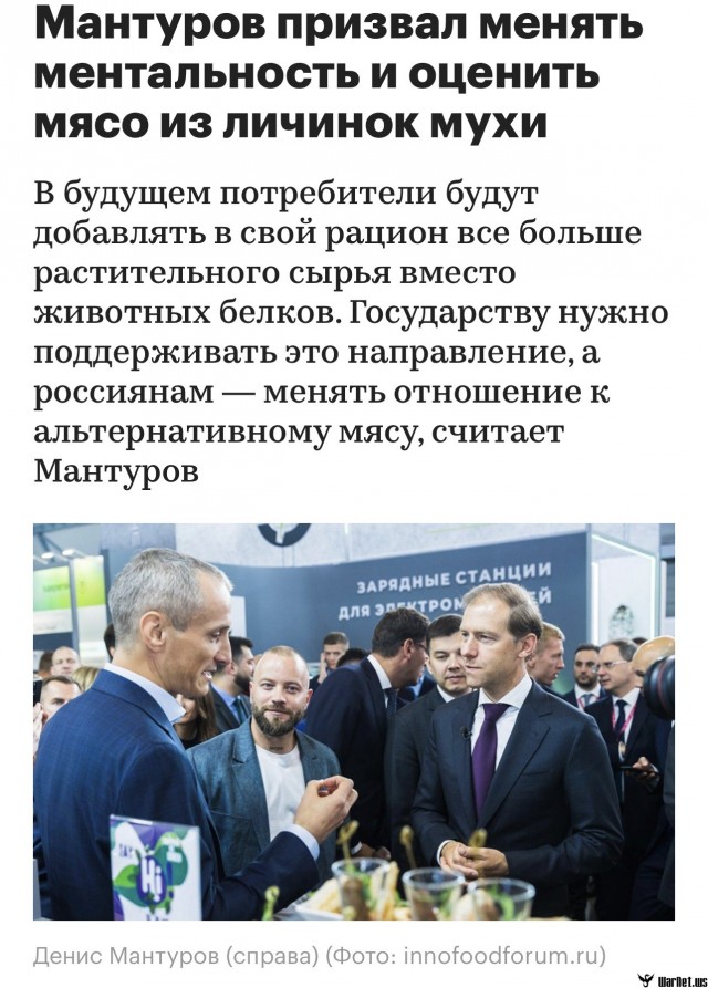 Котлеты из мух уже не фантастика, а вполне реальный продукт будущего