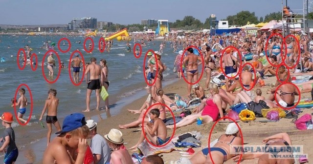 Где стройные женщины?
