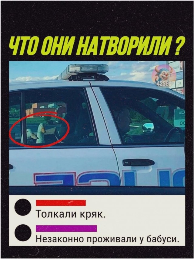 Картинки для деградации 295 (разной степени свежести)