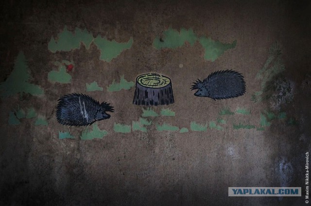 «Радиоактивный» санаторий под Минском.