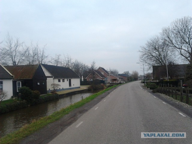 Где яблоки растут!