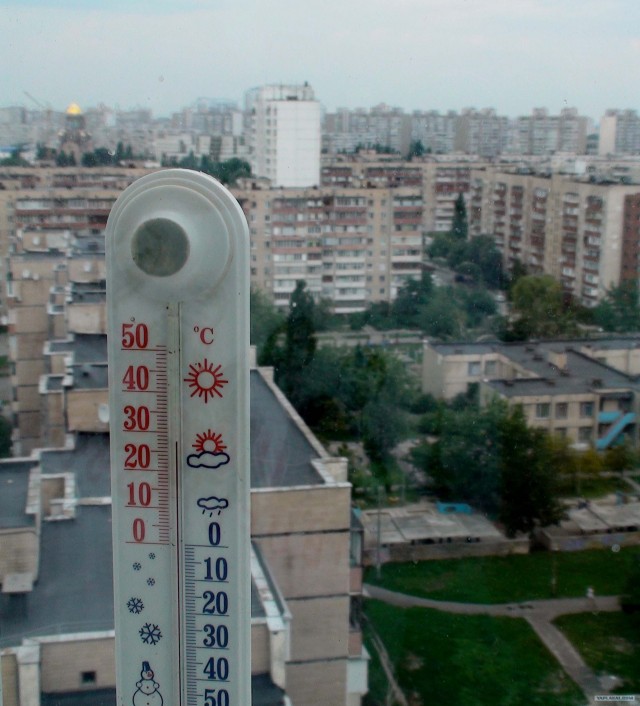 Солнечная сторона лета 2010 года
