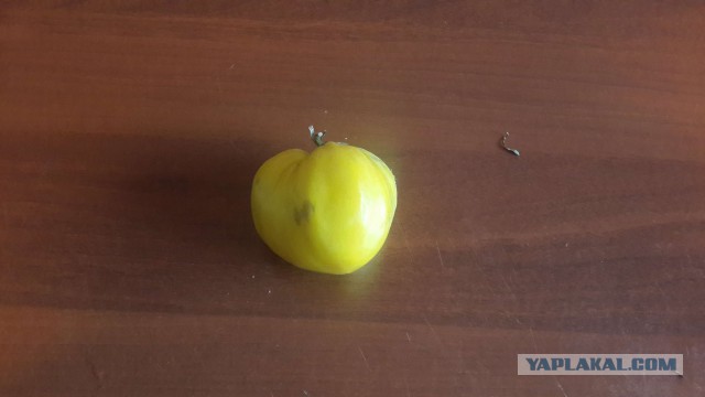 Аццкая кухня