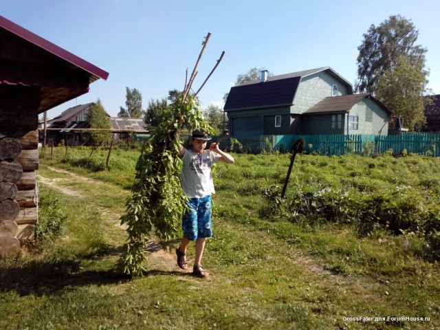 Первая в моей жизни стройка