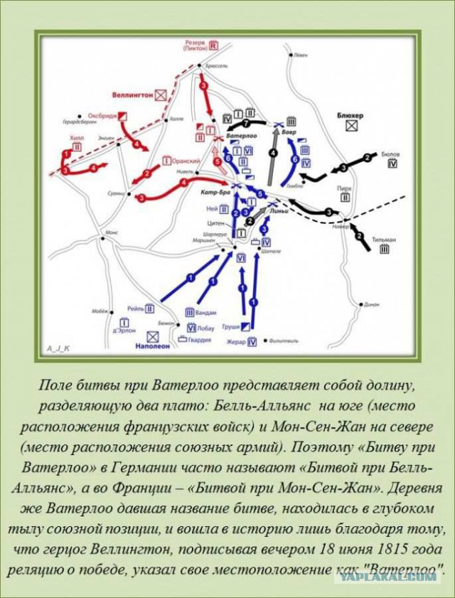 20 фактов обо всем