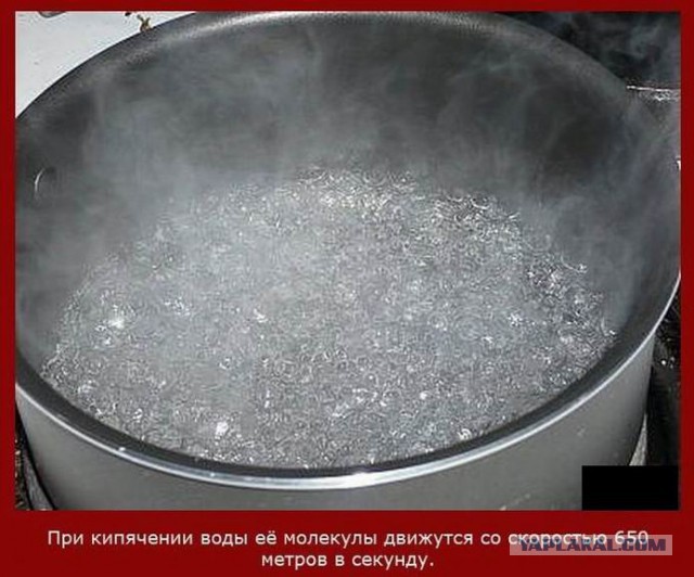 20 фактов обо всем