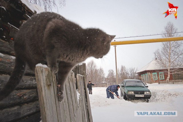 33-летний житель Башкирии воспитывает 5х детей