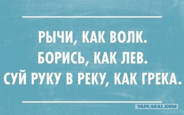 Немного картинок из сети