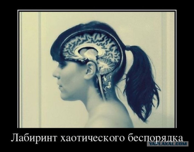 Немного о феминизме