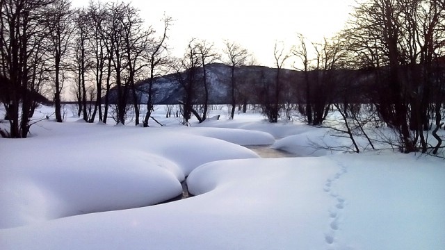 Петропавловск-Камчатский, утро