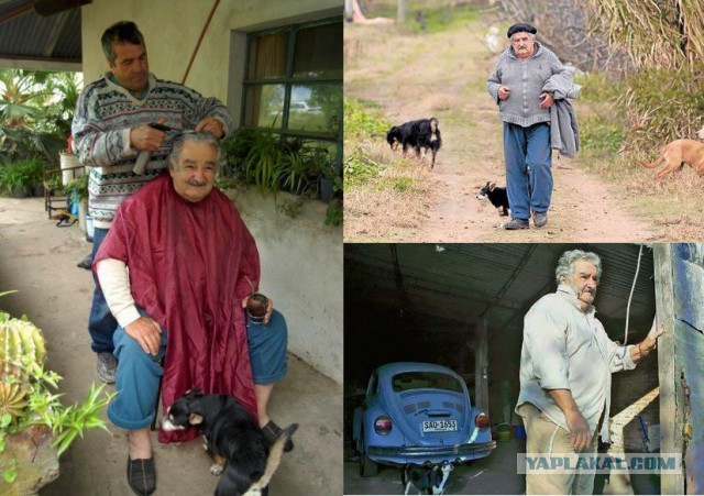 Где живет мэр Архангельска