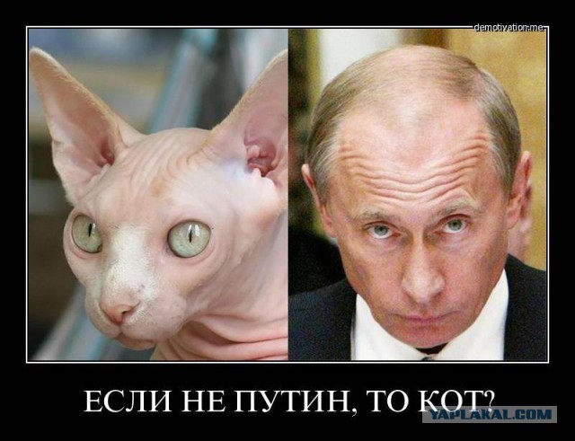 Прогноз от Улюкаева — экономическая „дурилка“