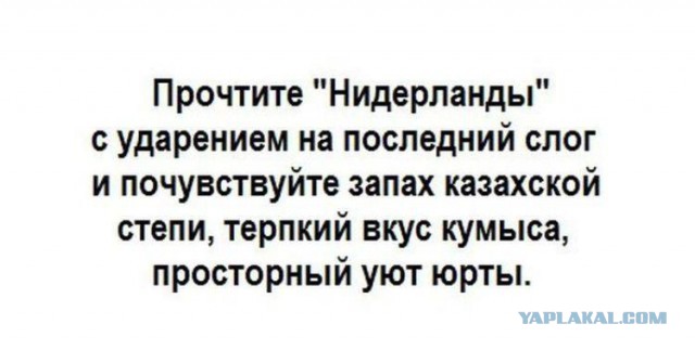 Плюшкиным посвящается
