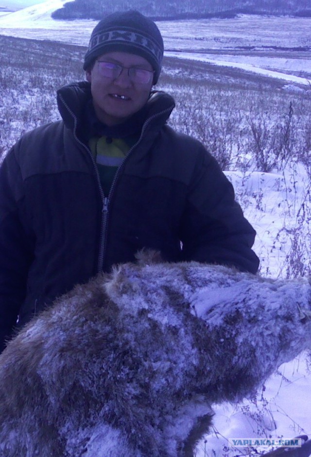 Трудовой народ в лицах