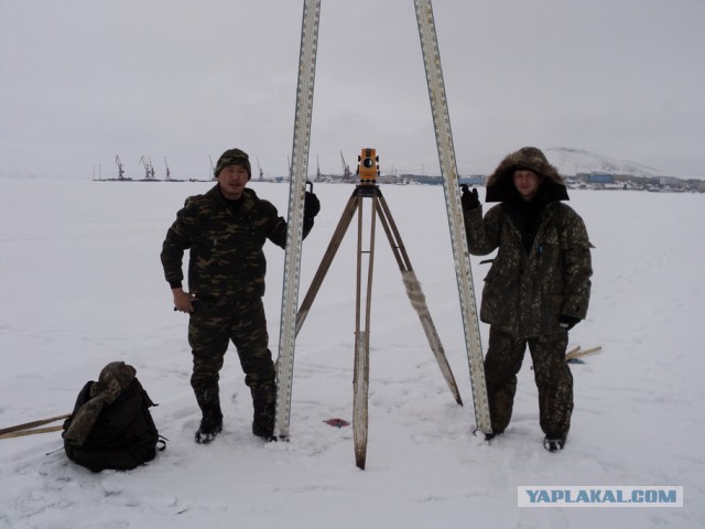Тикси — суровый арктический оазис