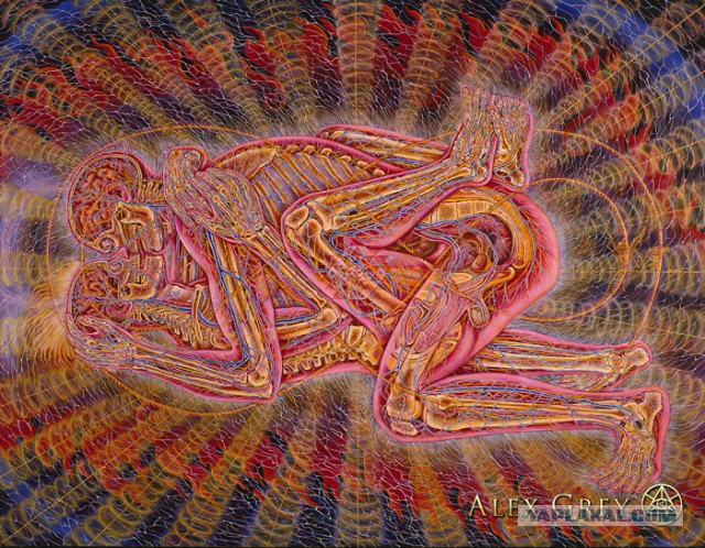 Художник запечатлел процесс секса в рентгеновских лучах