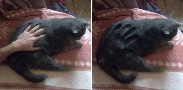 Всякий хлам