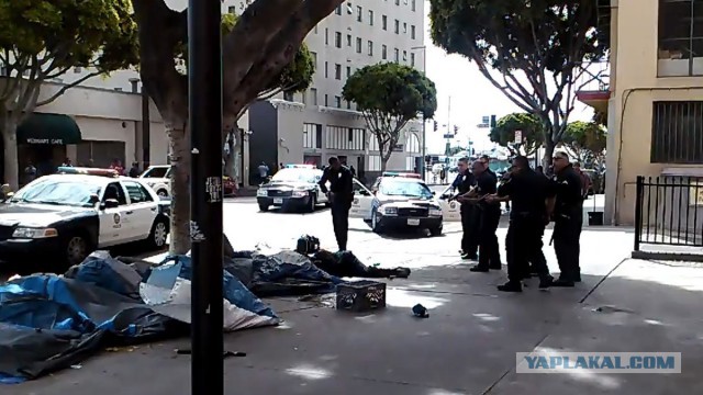 "Культурный" отдых в Питере...