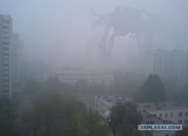 Ливень и сирена в Новосибирске