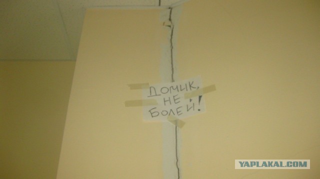 Весёлые картинки