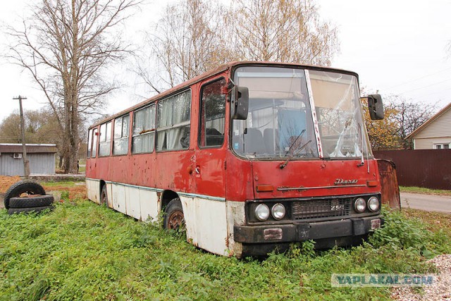 Ранний Икарус 255. Очередное пополнение в Петербургском Музее Автобусов