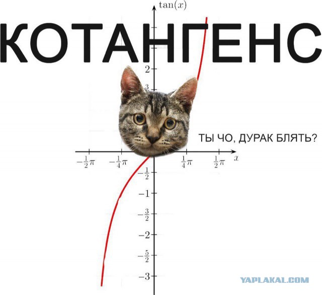 Мощная доза деградации на выходные