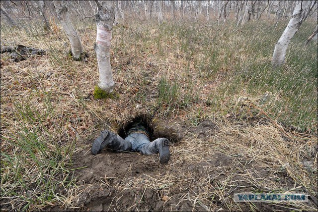 Так вот почему страус прячет голову в песок!