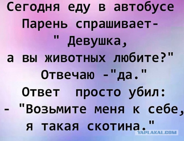 Картинки в черных рамках с подписями