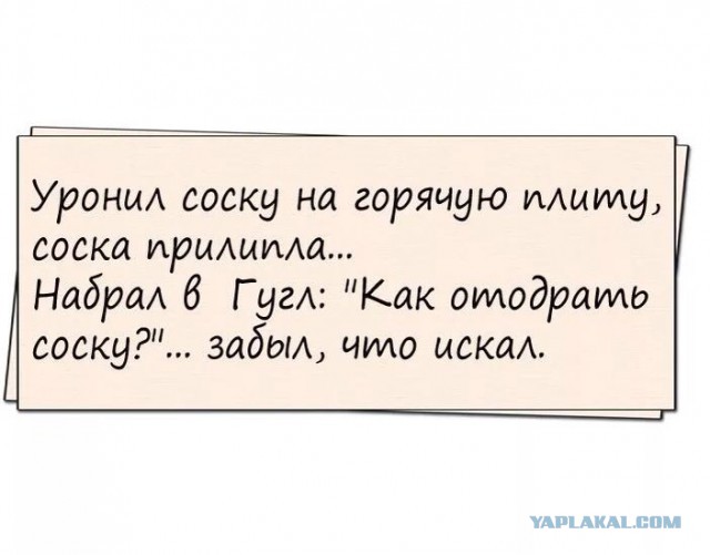 Чёрный юмор к началу летнего сезона