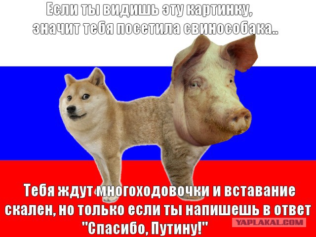 Прилетел из будущего и ищу человека