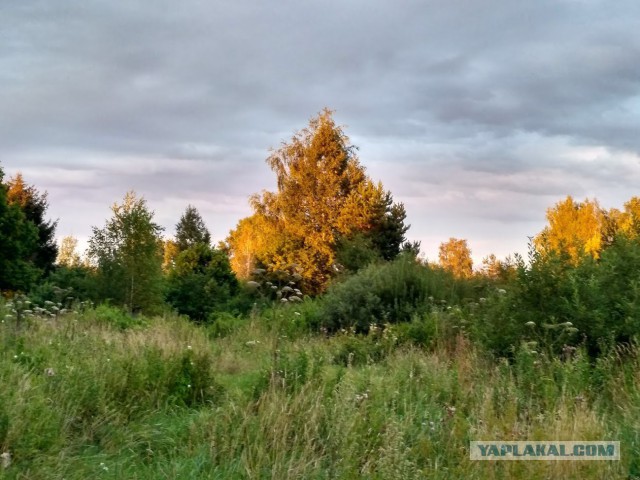 Мой отпуск, деревенские хроники