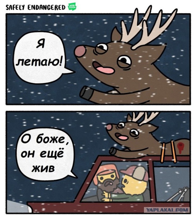 Нестандартный юмор