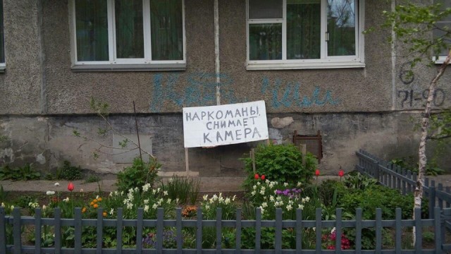 Мир вокруг нас