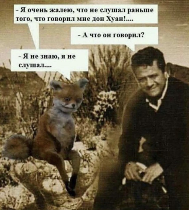 Не очень адекватный юмор