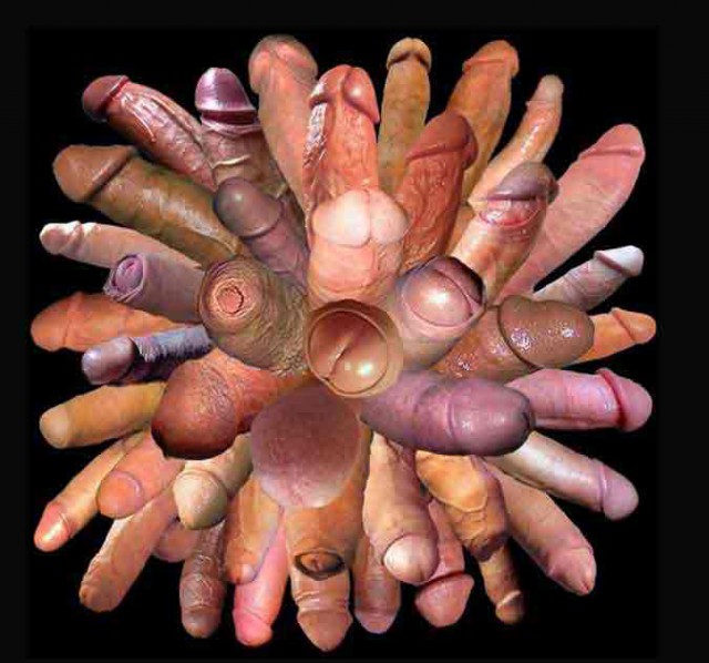 Коллекционер. Агенты ФБР семь часов выносили 3000 бальзамированных мужских членов из дома работника морга