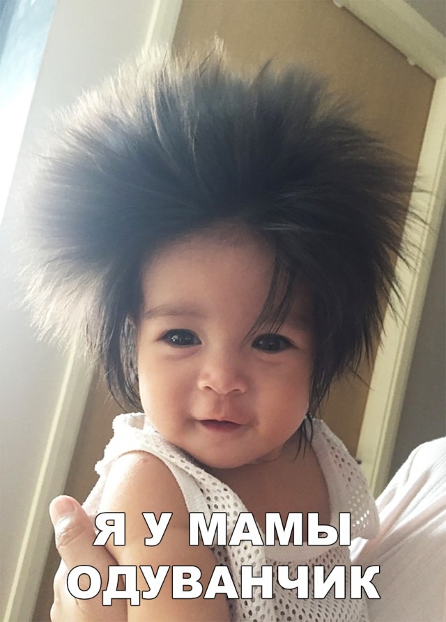 Прикольные картинки абавсём